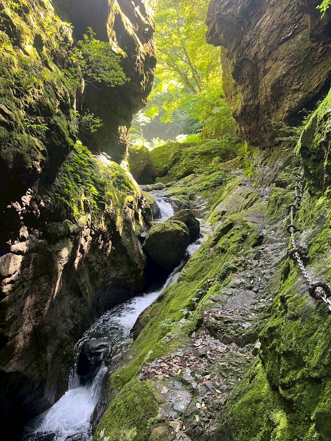 深い渓谷を流れる川