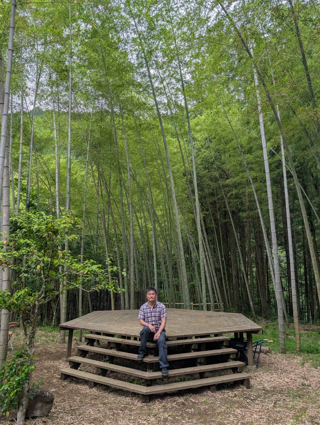 竹林の中のキャンプ施設
